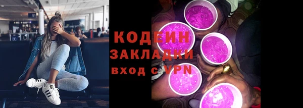 хмурый Струнино
