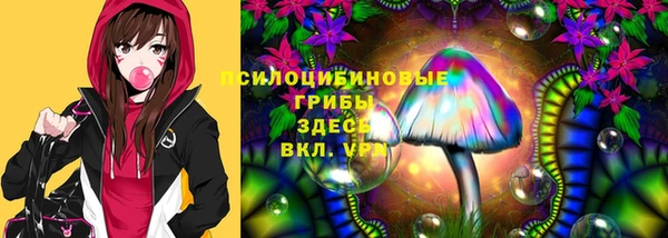 амф Тавда