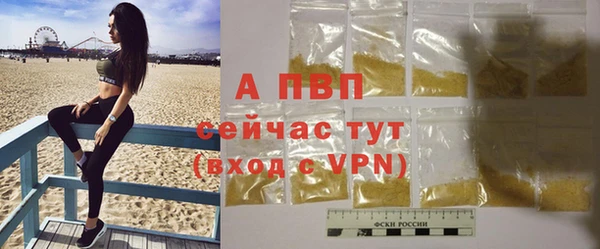 амф Тавда