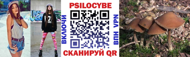 МЕГА ссылка  Новочеркасск  Псилоцибиновые грибы Psilocybine cubensis 