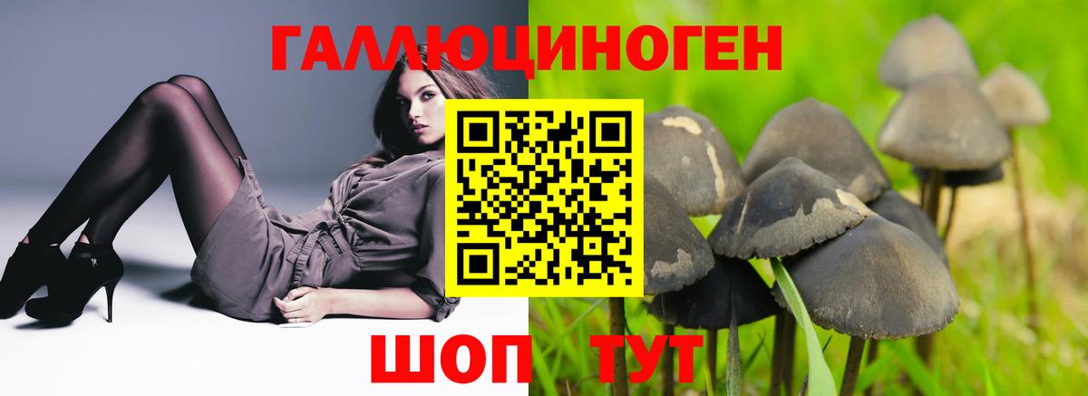 Псилоцибиновые грибы Psilocybe  Галлюциногенные грибы Magic Shrooms  Новочеркасск  Вход с VPN 