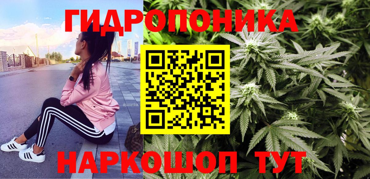Канабис Bruce Banner Новочеркасск